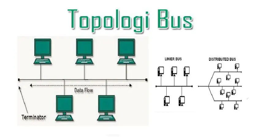 Topologi Bus