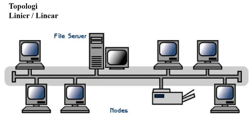 Topologi Linier